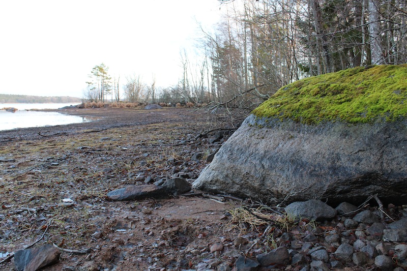 Den låga vattennivån syns tydligt på stenen. Foto: Tino Åberg