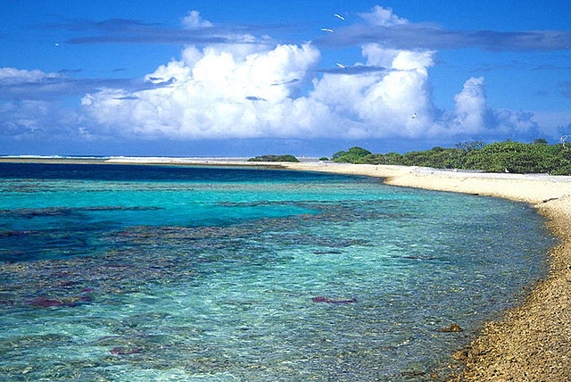 Pitcairnöarna. Foto: Angela K. Kepler - Pacific Biodiversity Information Forum. Licensierad under Public Domain via Wikimedia Commons - https://commons.wikimedia.org/wiki/File:Ducie02_AKK.jpg#/media/File:Ducie02_AKK.jpg
