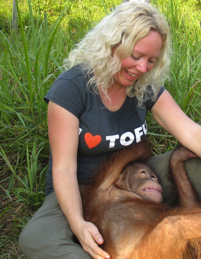 Ett annat djur som Malin Frick jobbat mycket med att skydda – orangutanger.