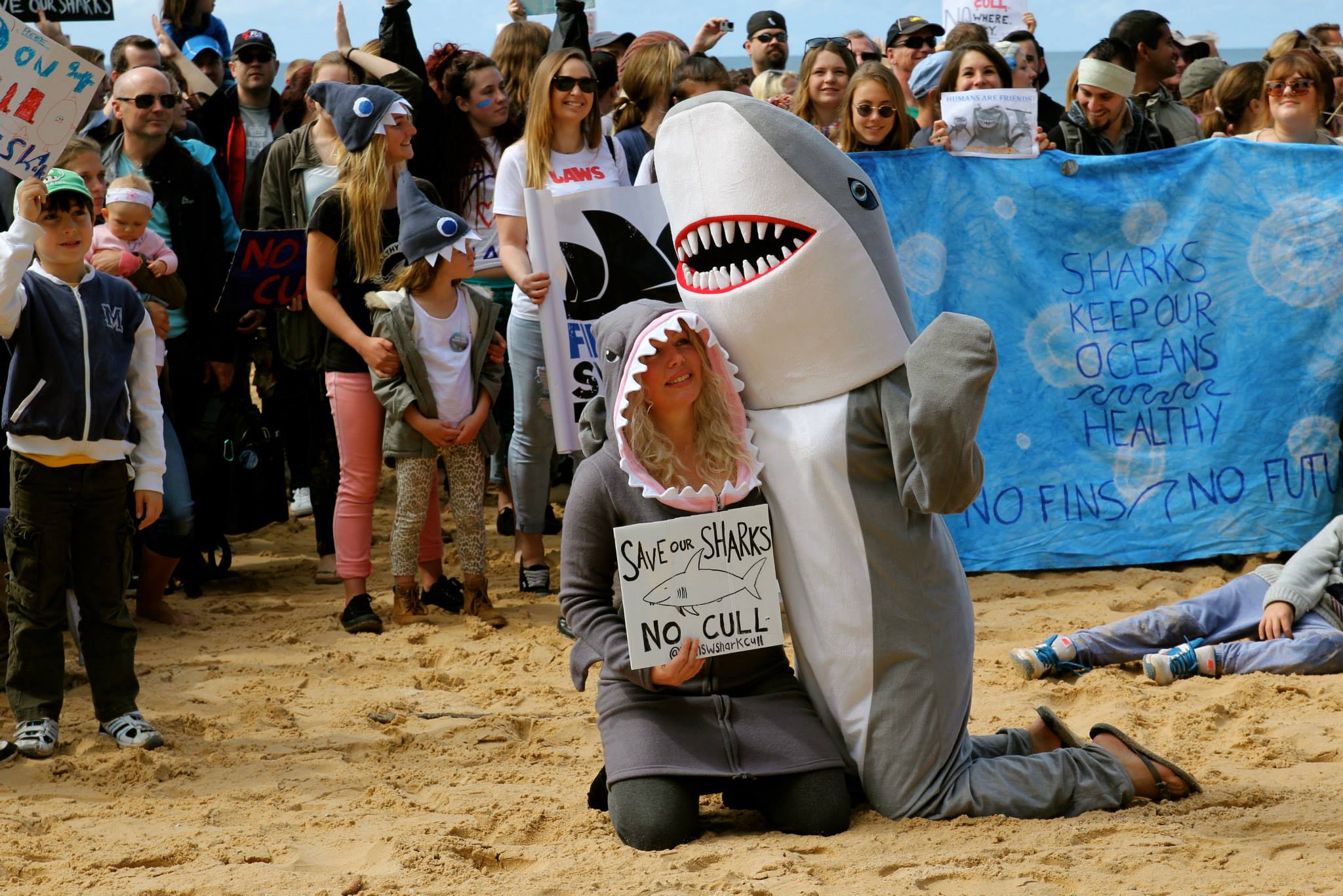 Ibland klär Malin Frick ut sig till haj och besöker skolor eller andra platser för att informera om vikten av att rädda hajar. – Det är bästa marknadsföringen. Ungarna älskar det och även vuxna vill bli fotograferade med hajen, säger hon.