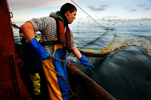 Storskaligt fiske. Foto: Indonesia Fishing Crew Agency via Flickr https://www.flickr.com/photos/fishingcrewagency/