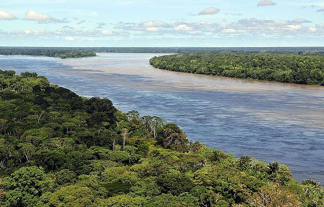 Amazonas. Foto: Neil Palmer/CIAT - Flickr, CC BY-SA 2.0, https://commons.wikimedia.org/w/index.php?curid=28390327