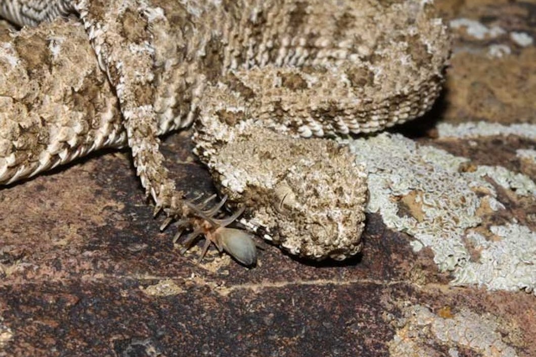 Kate Beckinsale bilan jinsiy aloqani tomosha qiling Qizil paypoq hd