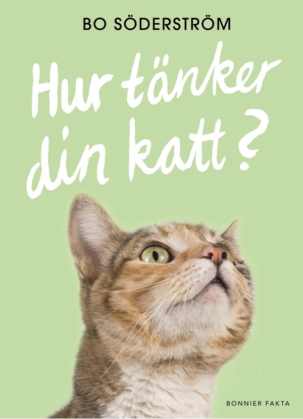 Omslaget till "Hur tänker din katt?" av Bo Söderström