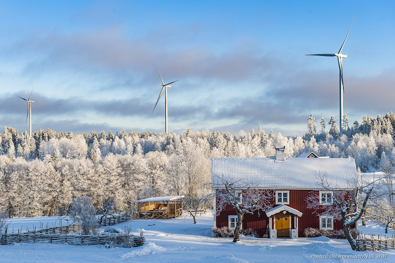 Lantlig idyll med vindkraftverkTuggarp, Gränna, Småland.
Foto: Ola Jennersten, Naturfotograferna, IBL Bildbyrå