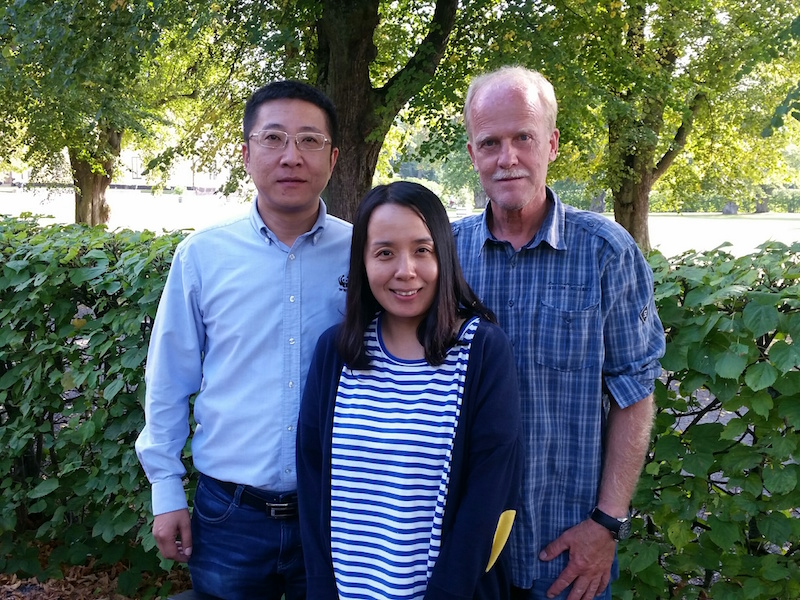 Från vänster: Liu Xiaohai, Hui Wan och Allan Carlson. Foto: Marie von Zeipel, WWF Sverige