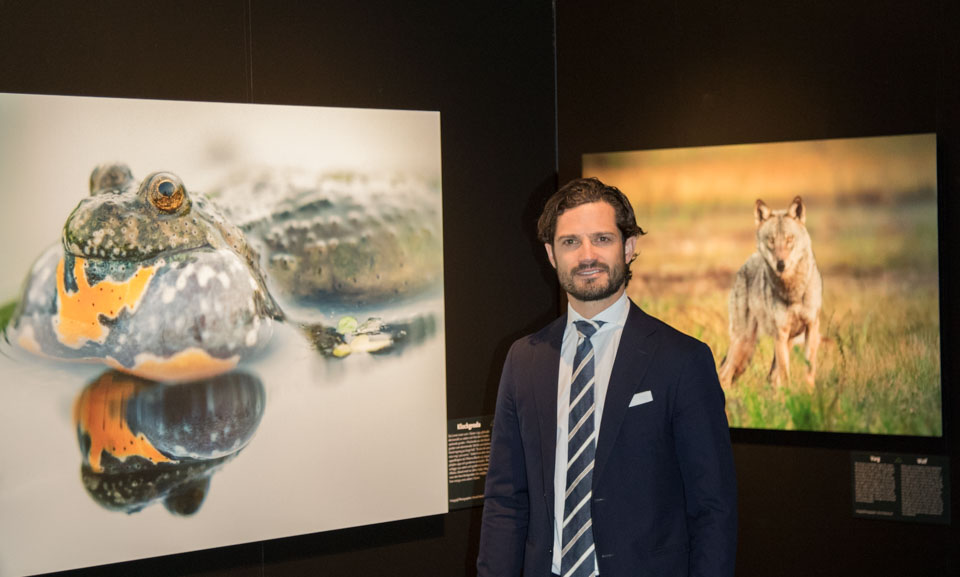 Prins Carl Philip, som själv är fotograf och bland annat varit ute på fotoresa med Mattias Klum, invigde utställningen. Foto: Erik Hansson