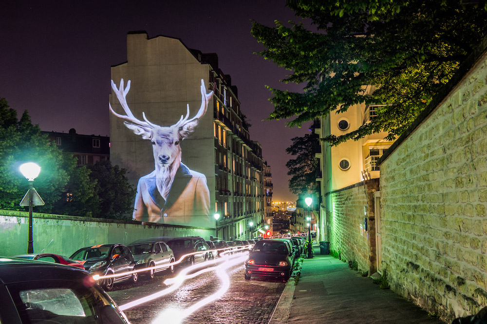 Hjort som projiceras på vägg i Paris. Foto: Julien Nonnon