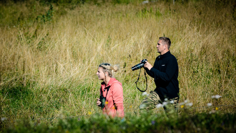 Armand Krajnc och Frida Johnsson letar fåglar att fotografera. Foto: Baldur Bragason/SVT