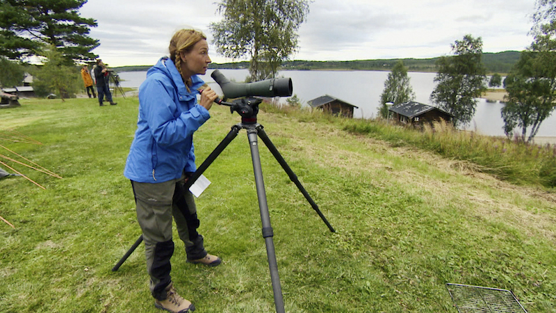 Martina Haag spanar efter fåglar i tubkikaren i Det stora fågeläventyret. Foto: SVT