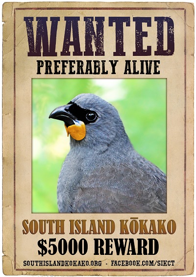 kokako+wanted+poster
