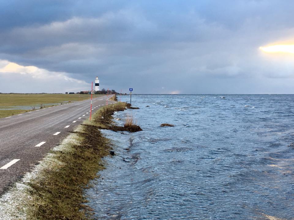 Fyrvägen ner mot Ölands södra udde. Foto: Mariann Aschan 