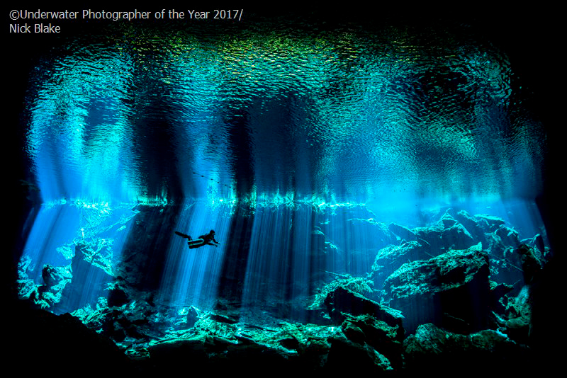 Årets brittiska undervattensfotograf 2017 'Out of the Blue' av Nick Blake (UK)