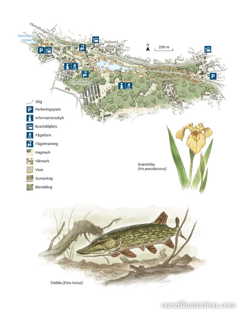 En karta som visar läget för en sjö och en fisk.