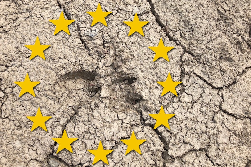 EU-flaggan ses på en spricka i marken.