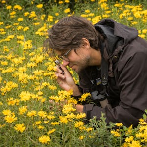 Man fotograferar gula blommor på ett fält medan han knäböjer.
