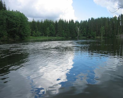 Floden Hiitolanjoki