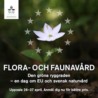 Annons
