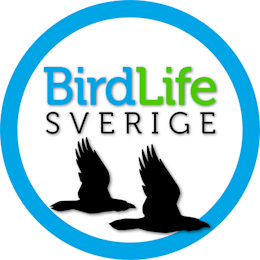 Birdlife Sverige logotyp
