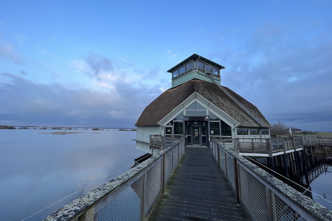 Hornborgasjöns naturum.