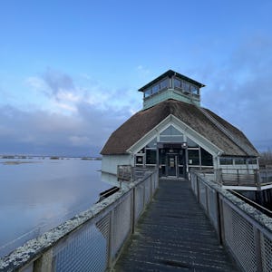 Hornborgasjöns naturum.