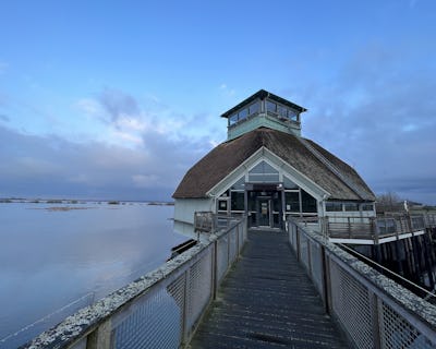 Hornborgasjöns naturum.