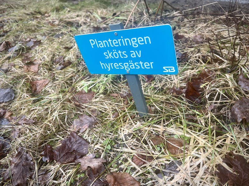 En blå skylt där det står "plantingen sköts av hyresgäster".