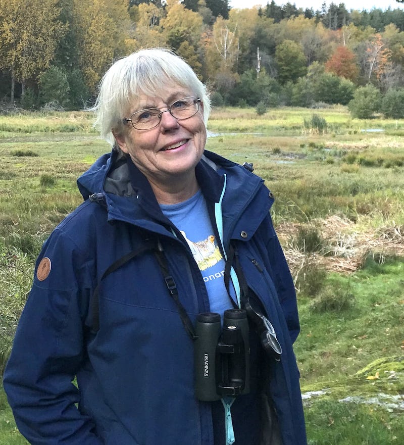 Eva Stenvång Lindqvist