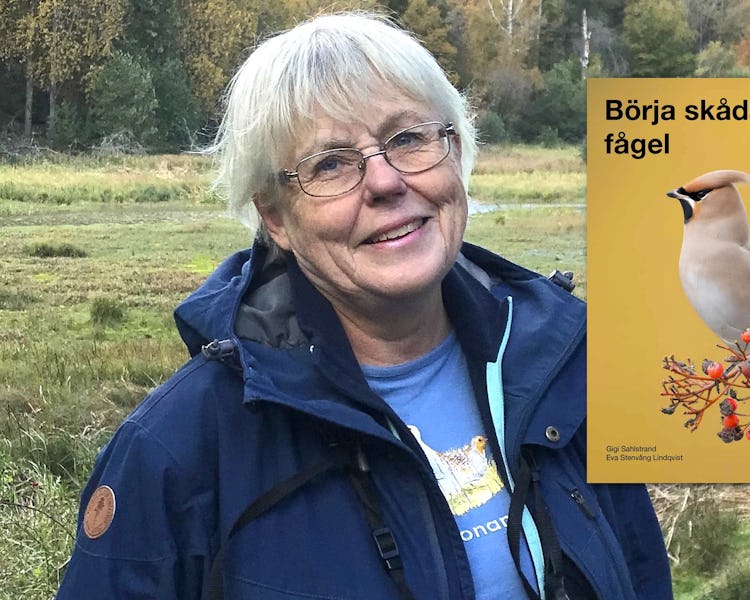 Eva Stenvång Lindqvist och boken Börja skåda fågel.