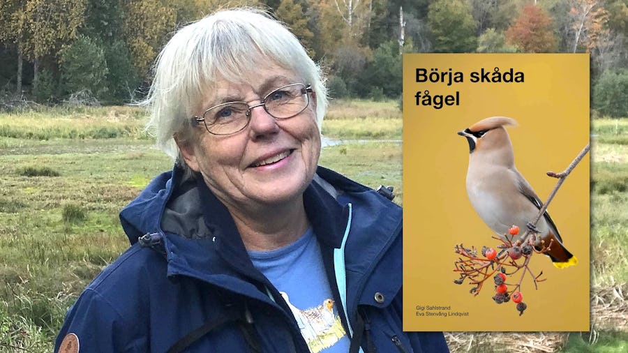 Eva Stenvång Lindqvist och boken Börja skåda fågel.