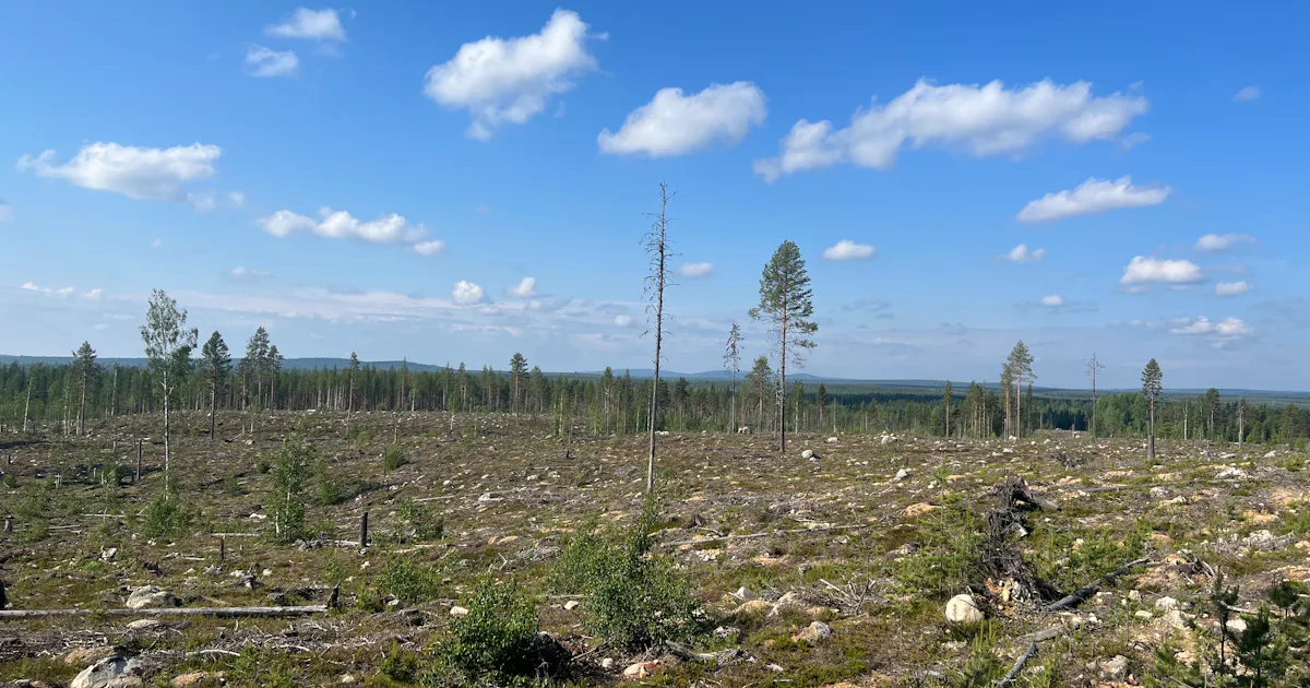 Liberalerna får sämst klimatbetyg