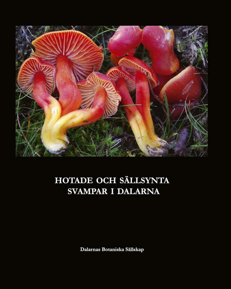 Omslaget till en bok om Dalarnas svampar.