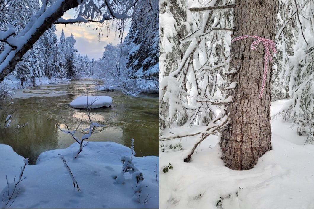 Två bilder på ett snötäckt träd och en flod.