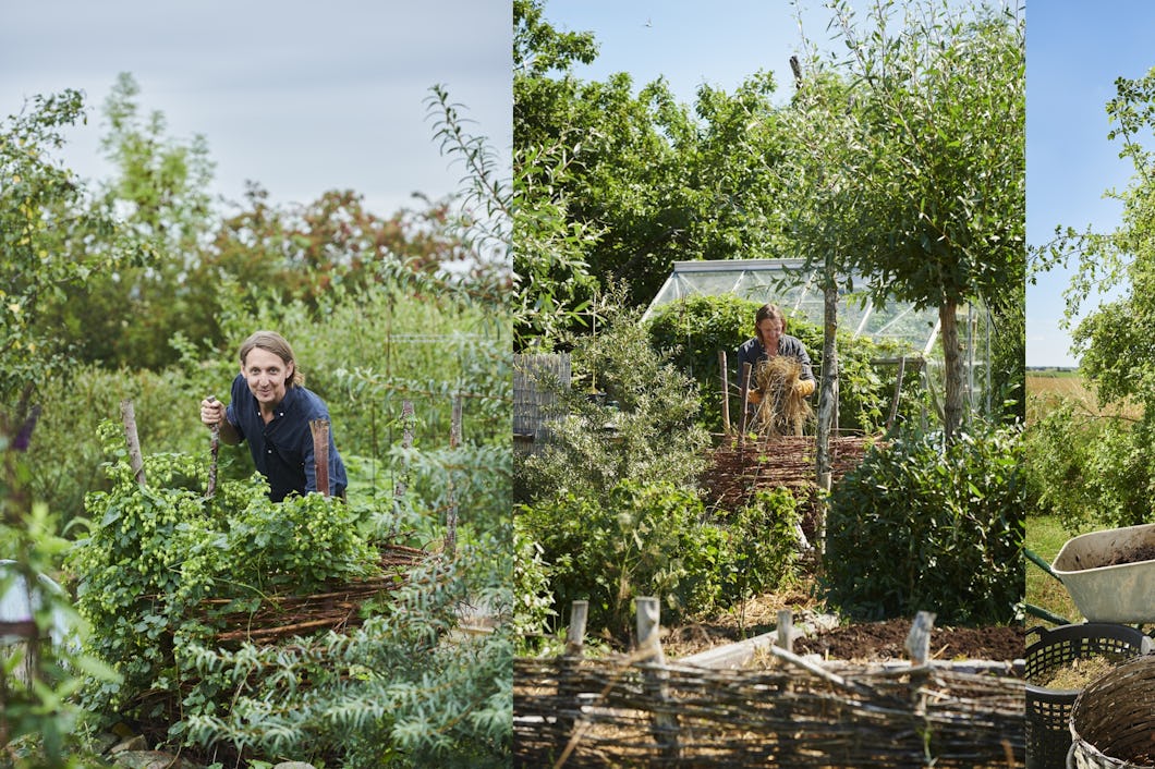 Fyra bilder på människor som arbetar i en trädgård.