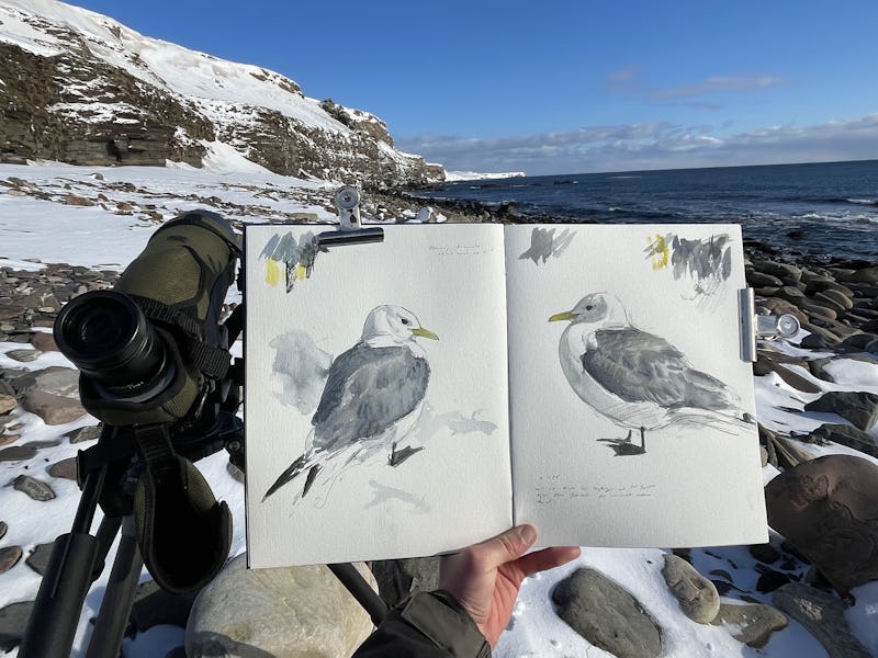 En konstnärsskissbok med teckningar av fåglar, ställd mot ett snöigt kustlandskap med en kikare på sidan.