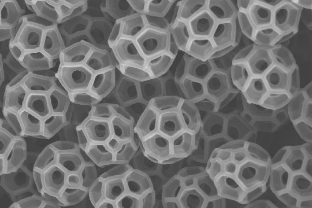 Brochosomer är nanoskopiska, fotbollsformade sfärer med hål som visat sig vara oerhört effektiva på att absorbera ljus.
