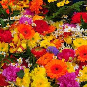 Ett sortiment av olika färgglada blommor.