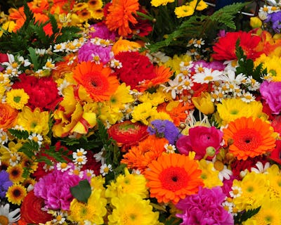 Ett sortiment av olika färgglada blommor.
