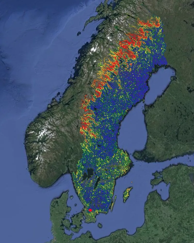 Ny skogskarta ska ge ledtrådar om höga naturvärden – Natursidan