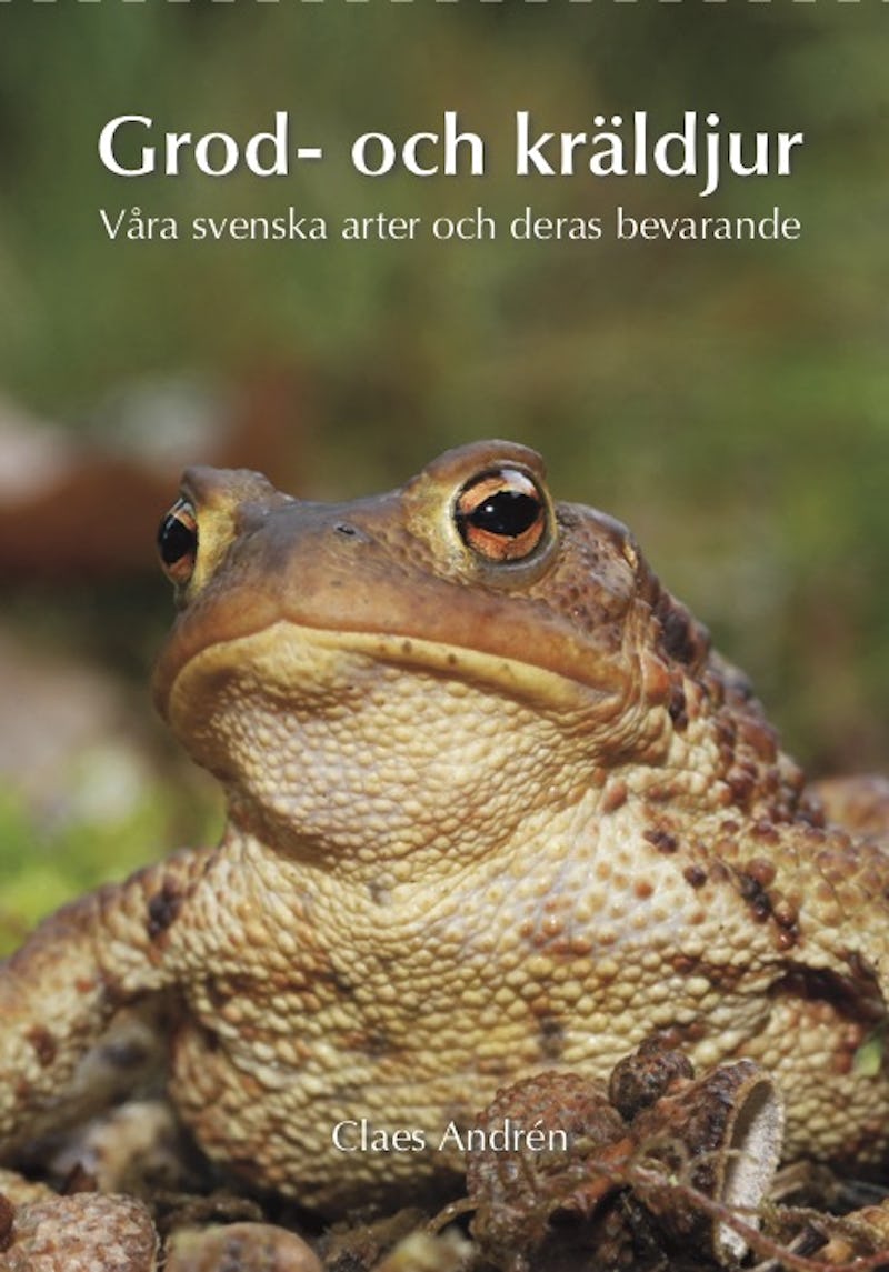 Omslaget till boken "Grod- och kräldjur" av Claes Andrén.
