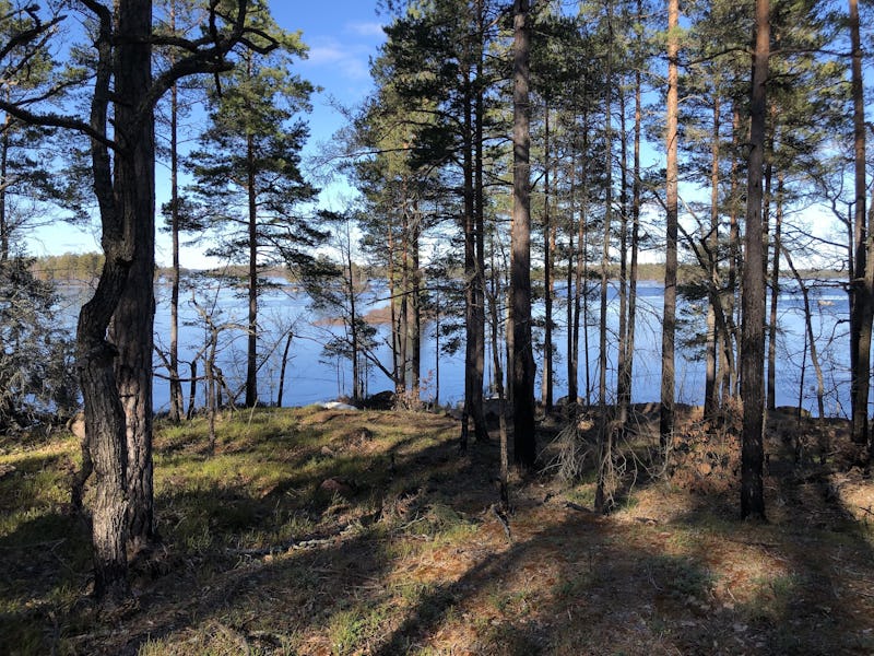 Utsikt över sjön Allgunnen i Småland.
