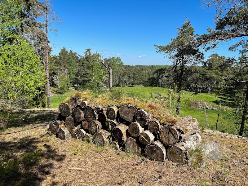 Här och var runt golfbanan har det lagts ut faunadepåer – död ved i högar. Här även försett med håligheter åt vildbin, samt ett täcke av mossa.