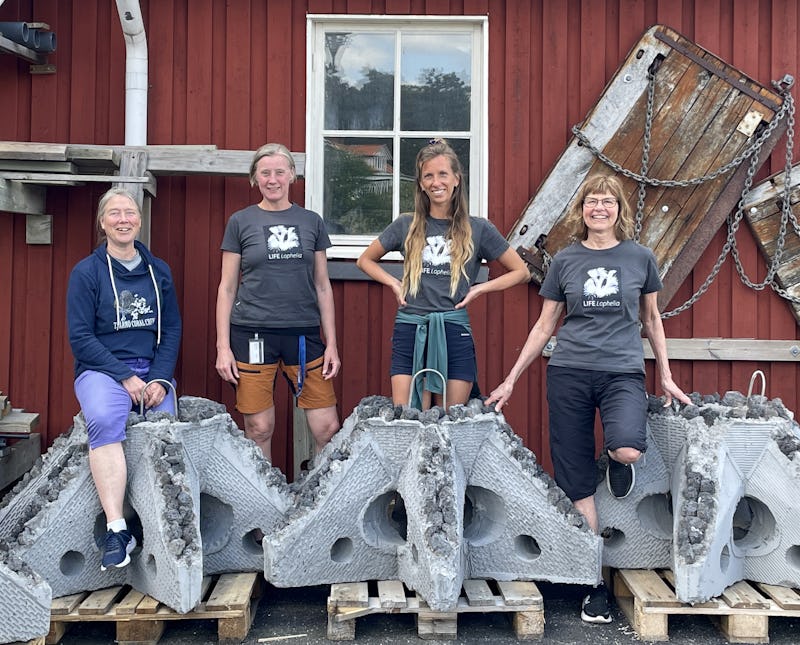 Betongreven framför Ann Larsson, Susanna Strömberg och Iga-Maria Nestorowicz från Göteborgs universitet, samt Anita Tullrot från Länsstyrelsen i Västra Götaland.