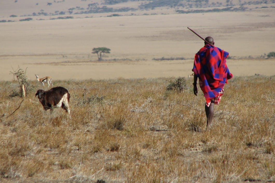 Massaj i östra Serengeti.