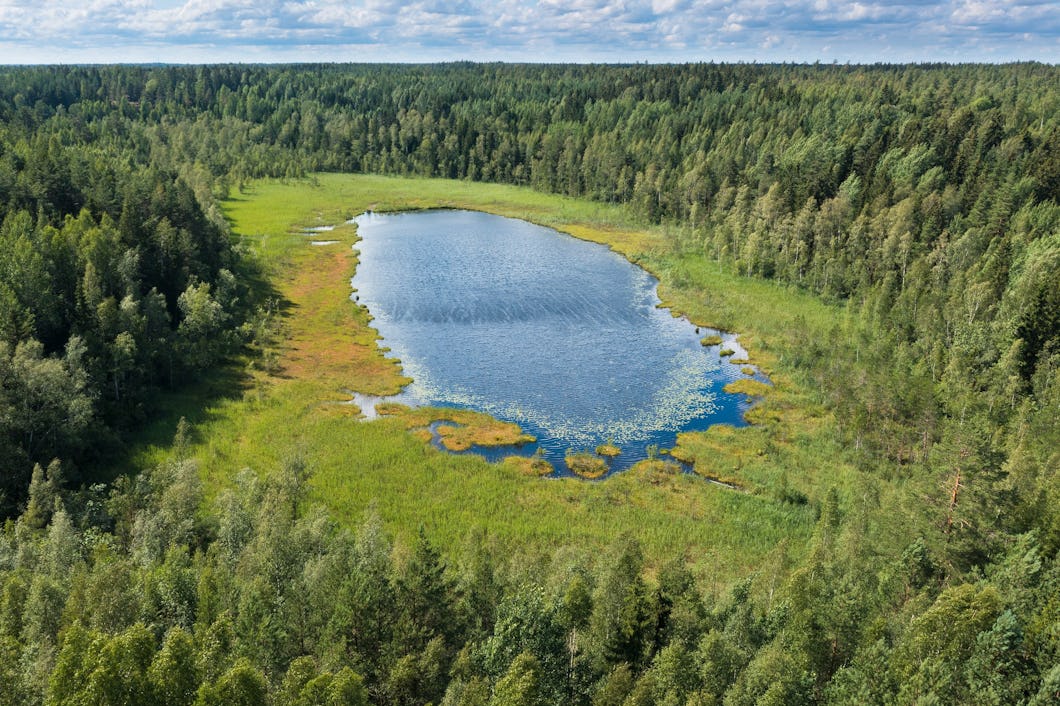 Bakunkärrsträsket i Sibbo storskogs nationalpark.