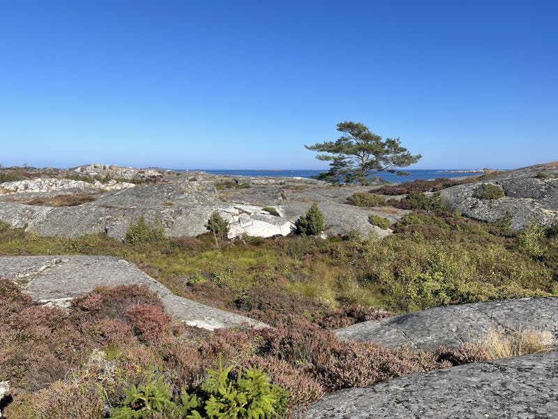 Bullerö i Nämdöskärgården.