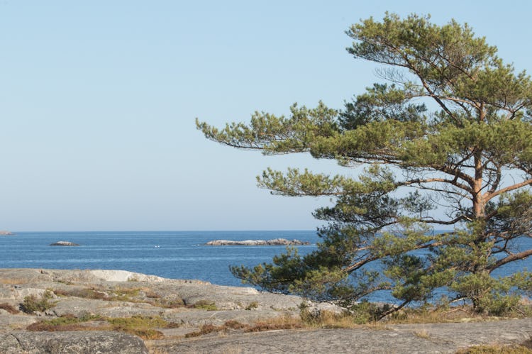 Nämdöskärgården.