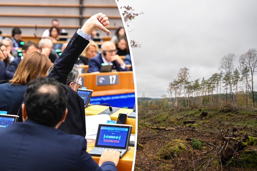Avskogningsförordningen fylldes med luckor innan EU-parlamentet röstade för förslaget.