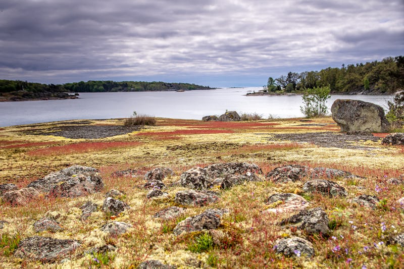 Klipphällar med utsikt över innerskärgård