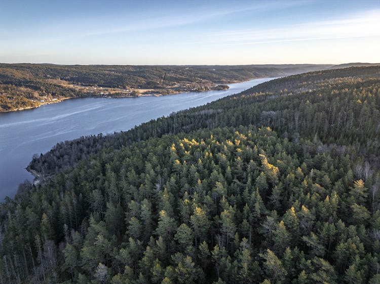 Drönarbild över området.